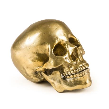 Diesel Human Skull