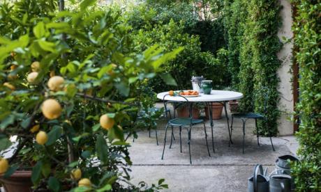 Magis Vigna Chair