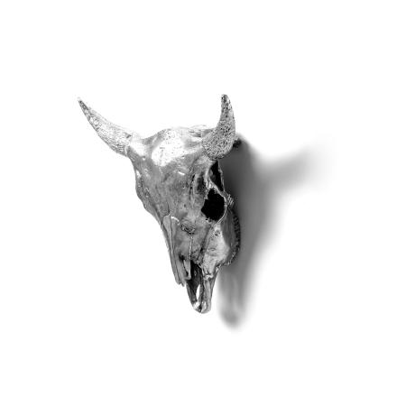 Seletti Wunderkammer  Bison Skull