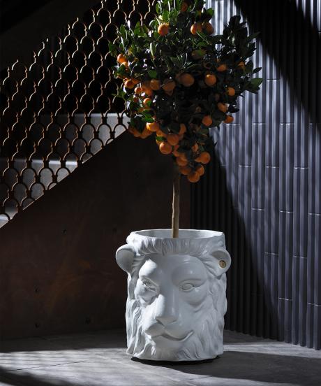 Garden Glory Lion Pot Big White