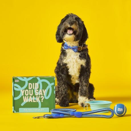 New Dog Starter Kit