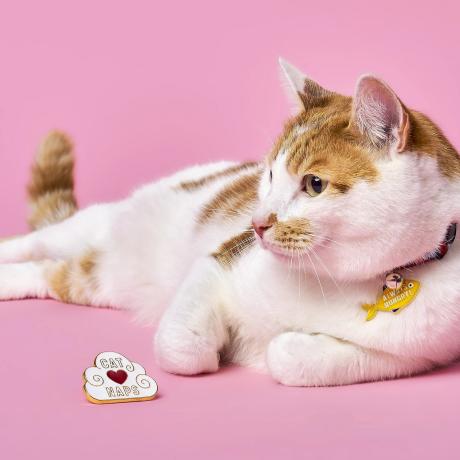 Cat Crazy Pin & Tag